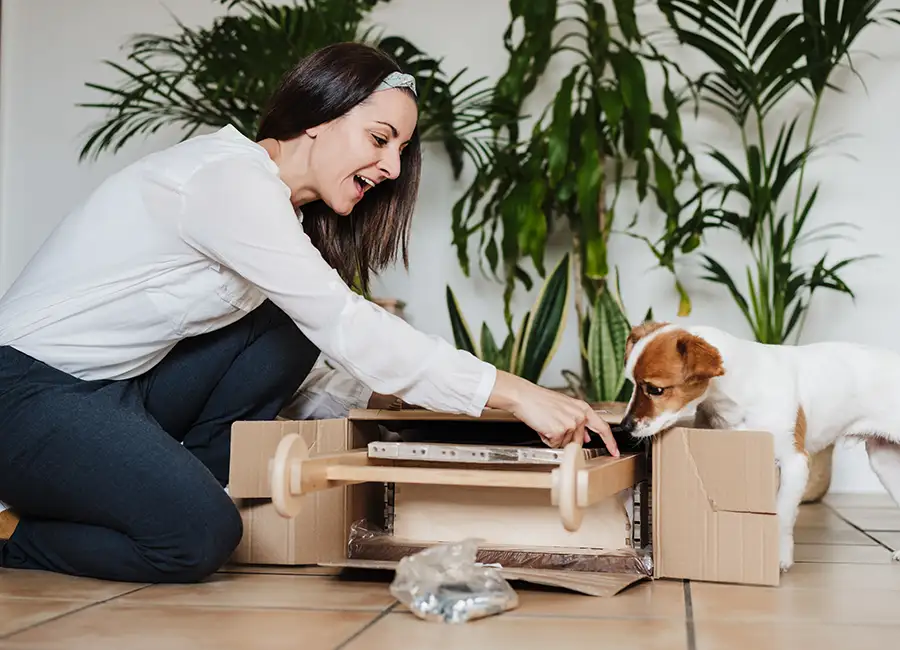 Moving with Pets in Stoke on Trent